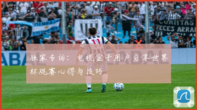独家专访：电视盒子用户分享世界杯观赛心得与技巧